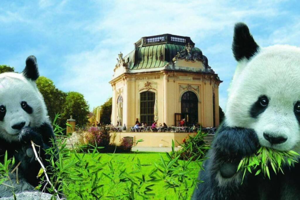 Zwischen Schoenbrunn Und Dem Center L Lf37 * Wenen
